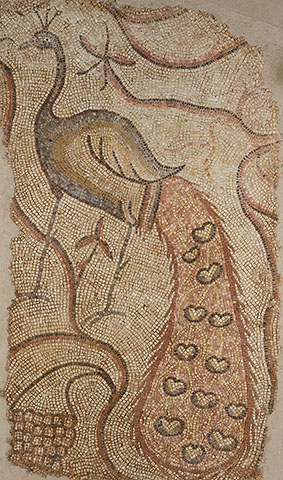 Left panel from Pair of Peacocks